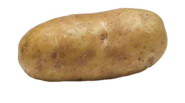 POTATO, BOX, RUSSET, IDAHO, 90 SIZE